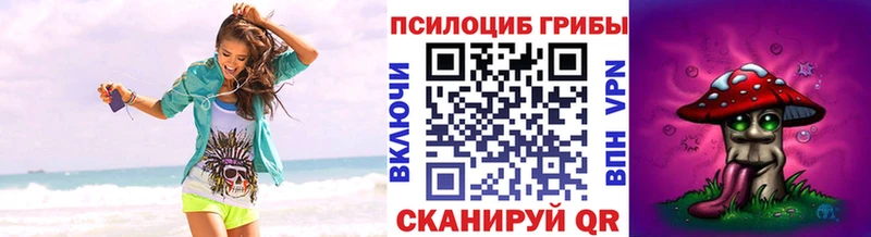 наркота  ссылка на мегу вход  Псилоцибиновые грибы мицелий  Звенигород 