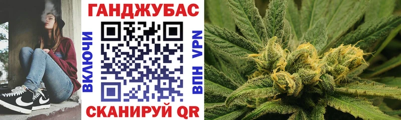 Конопля конопля Звенигород